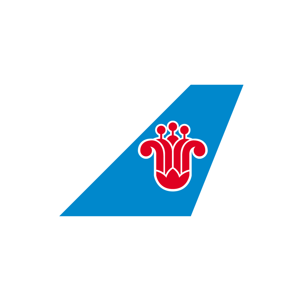 China southern airlines baggage top claim