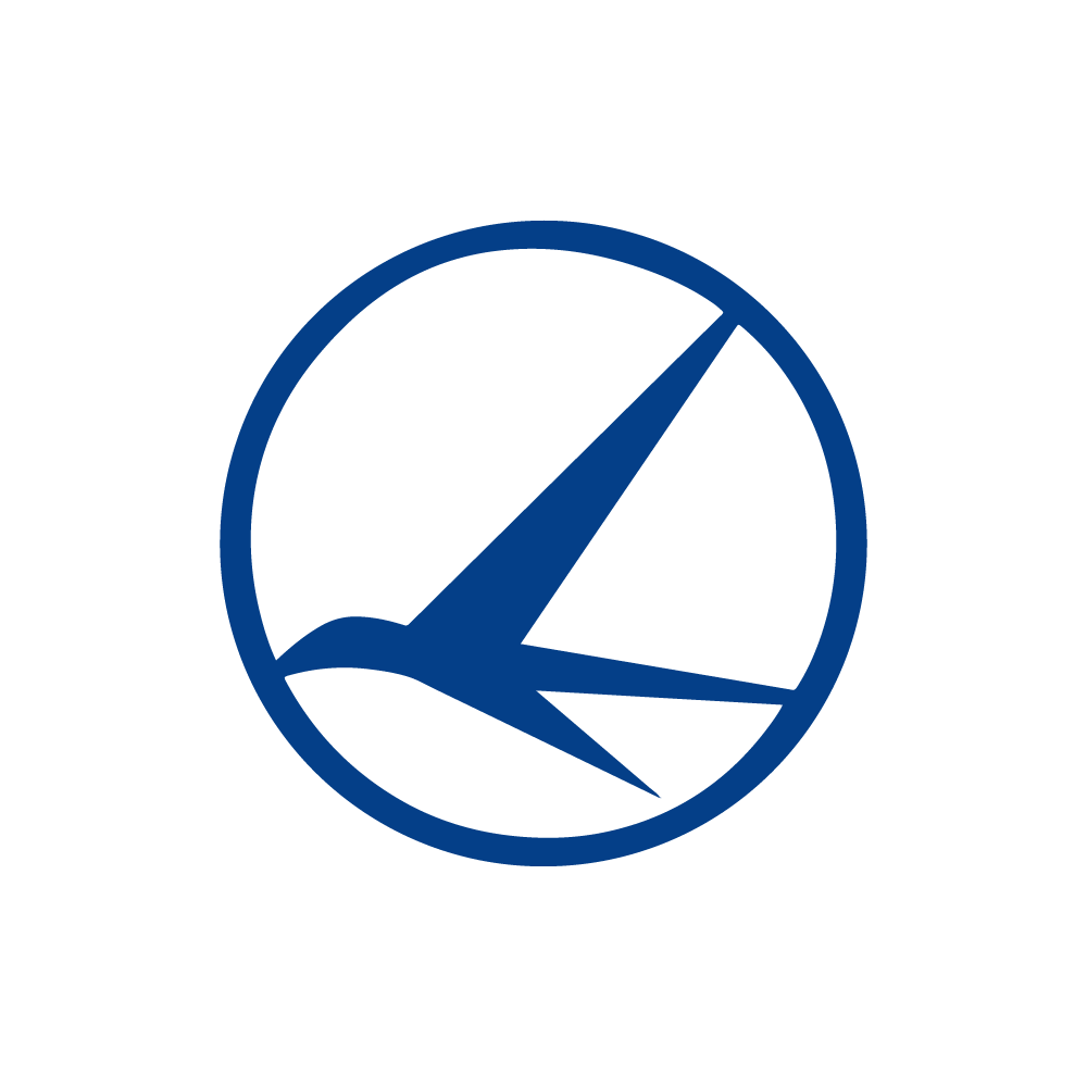 Tarom lost online baggage
